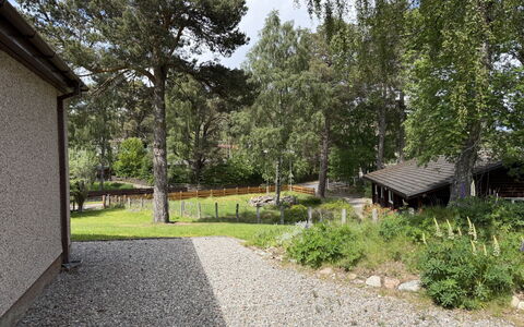 Glencarr: Træ, Busk, Hus, Hjem, Sommerhus, Have, Land Lot, Bunddække, Backyard