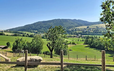 Roiderhof: Blå, Altan, Gelænder, Lejlighed, Hegn, Hav, Udvej, Ejerlejlighed, Svømmepøl, Hotel