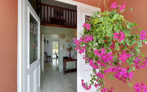 La Toulière: Blomst, Lyserød, Blomsterkrukke, Stueplante, Blomsterhandlere, Floral Design, Altan, Home Dør