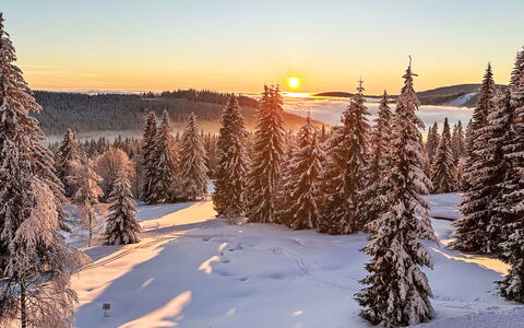 Rebelka: Himmel, Vinter, Sne, Træ, Afdeling, Natur, Naturlige Landskab, Solopgang, Ødemark, Solnedgang