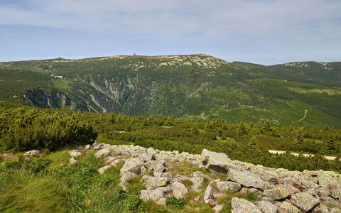 Horni Misecky 3: Bjergrige Landskabsformer, Bjerg, Vegetationen, Bakke, Græs-, Highland, Ødemark, Terræn, Økoregion, Landskab