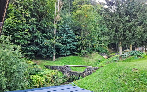 Sára: Græs, Grøn, Blad, Vegetationen, Busk, Have, Bunddække, Landscaping, Lawn