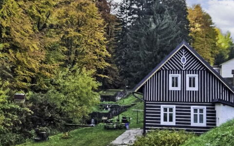 Sára: Grøn, Træ, Græs, Blad, Hus, Busk, Hjem, Sommerhus, Bunddække, Forår