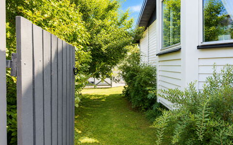 Lyckan: Grøn, Busk, Sidespor, Have, Backyard, Bunddække, Hegn, Forår, Skygge, Home Fencing