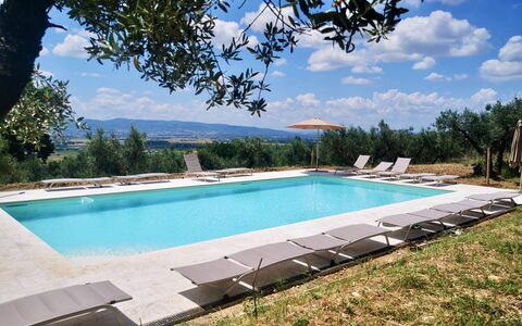 Villa Santa Chiara: Svømmepøl, Udvej, Udendørs Møbler, Eco Hotel, Estate, Liggestol, Hacienda, Skygge, Villa, Landscaping