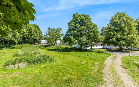 Thilo - 39Km from the Sea: Blå, Himmel, Daytime, Træ, Græs, Afdeling, Natur, Vegetationen, Naturlige Landskab, Busk