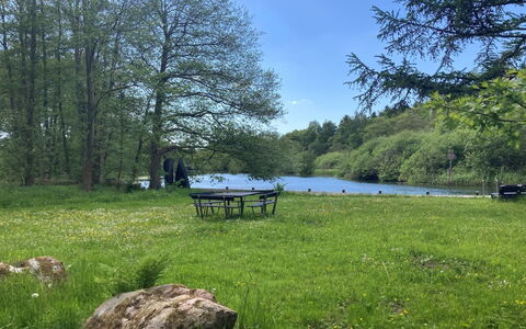 Ry 601: Træ, Græs, Naturligt Miljø, Natur, Naturlige Landskab, Græs-, Landskab, Almindeligt, Picnic Bord