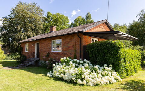 Villa Fröseke: Græs, Hus, Busk, Tag, Sommerhus, Have, Hjem, Land Lot, Lawn
