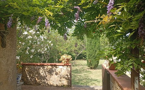 Podere Dolce Sonno e Sonnellino: Busk, Have, Forår, Bunddække, Skygge, Gård, Backyard, Landscaping, Udendørs Struktur, Pergola