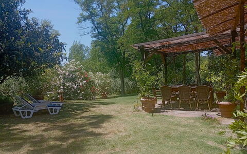 Podere Dolce Sonno e Sonnellino: Busk, Møbel, Have, Skygge, Backyard, Lawn, Stol, Udendørs Møbler, Udendørs Struktur
