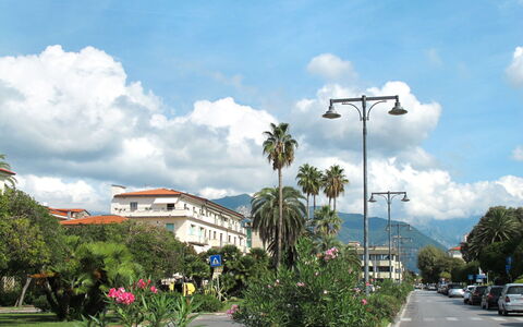 Marina di Massa 651: Himmel, Træ, Sky, Færdselsåre, Gadebelysning, Cumulus