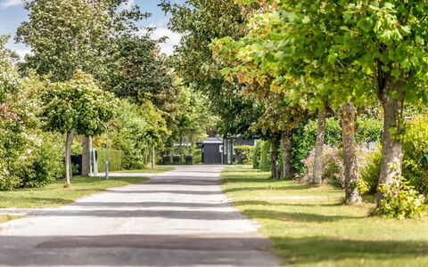 Ulli - 350M from the Sea: Træ, Blad, Grøn, Afdeling, Vejbelægning, Busk, Landskab, Forår, Færdselsåre, Have