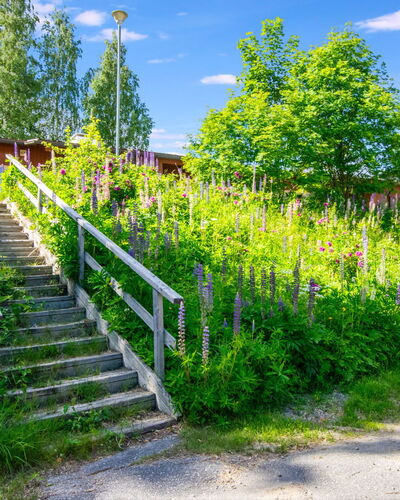 Heinävesi Homes D1