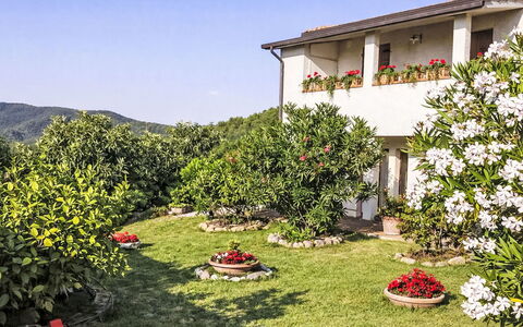 Il Mulinetto: Blomst, Busk, Have, Forår, Lawn, Landscaping, Gård, Backyard, Botanisk Have