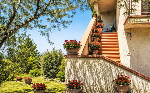 Il Mulinetto: Busk, Have, Blomsterkrukke, Landscaping, Stueplante, Trappe, Gård, Design, Altan