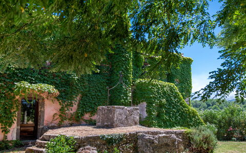 Villa Terre Normanne 10: Grøn, Væg, Blad, Natur, Vegetationen, Busk, Have, Bunddække, Stenmur, Skygge