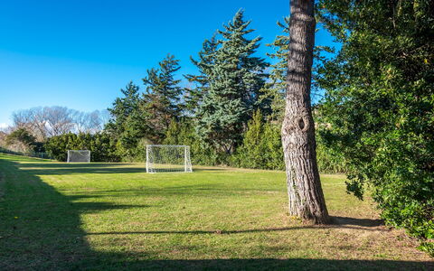 Villa Isotta 8+4: Blå, Græs, Træ, Land Lot, Lawn, Eng, Have, Landscaping, Lærk, Parkere