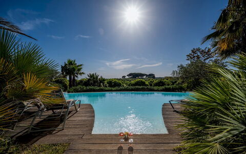 Villa Pineta 6: Blå, Svømmepøl, Udvej, Eco Hotel, Tropics, Have, Landscaping, Ferieby