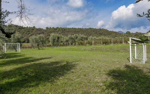 Tenuta Navelli 12+2: Græs, Træ, Græs-, Land Lot, Almindeligt, Eng, Pasture, Lawn, Mark