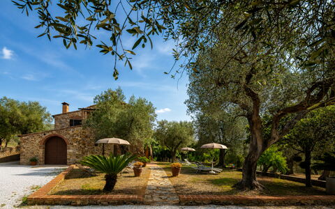 Casale le Lupe Apartments: Have, Estate, Hacienda, Landscaping, Stuehus, Gård, Villa, Skygge, Backyard, Indkørsel