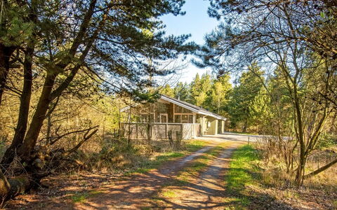 Liina - 3Km from the Sea: Træ, Naturligt Miljø, Afdeling, Træ, Hjem, Sommerhus, Landdistrikt, Land Lot, Woodland, Kvist
