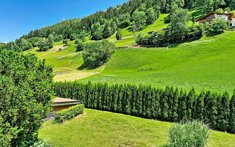 Arzl im Pitztal 15: Grøn, Naturlige Landskab, Busk, Landskab, Highland, Hill Station, Hæk, Have, Eng, Plantation