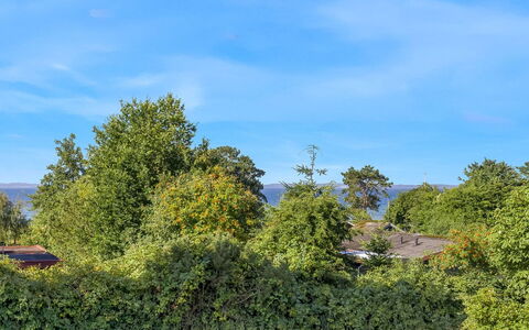 Kora - 300M from the Sea: Blå, Himmel, Blad, Grøn, Natur, Vegetationen, Busk, Plantesamfund, Forår, Sollys