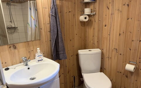 Hedwig - 120M to the Fjord: Toiletbræt, Badeværelse, Sanitærarmatur, Toilet, Badeværelsesvask, Træ, Gulvbelægning, Håndvask, Etage, Indretning