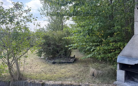 Hedwig - 120M to the Fjord: Busk, Have, Vedplante, Backyard, Landscaping, Evergreen