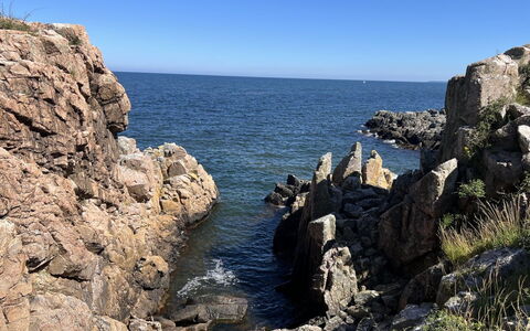 Jasper - 100M from the Sea: Rots, Vand, Krop Af Vand, Vandressourcer, Kyst, Bedrock, Coastal Og Oceaniske Landskabsformer, Terræn, Outcrop