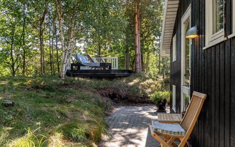 Florida - from the Sea: Træ, Bagagerum, Have, Backyard, Sommerhus, Skygge, Woodland, Hårdttræ, Gård, Landscaping
