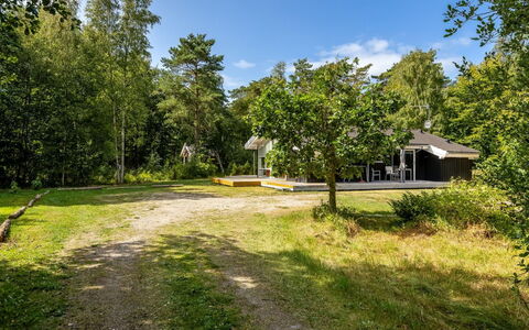 Naninja - 924M from the Sea: Træ, Græs, Grøn, Blad, Afdeling, Vegetationen, Busk, Hus, Hjem