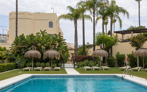 La Quinta Hills: Svømmepøl, Udvej, Landscaping, Have, Hacienda, Eco Hotel, Skygge, Estate, Backyard