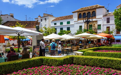 La Quinta Hills: Offentlige Rum, Have, Blandet Brug, Fritid, Landscaping, Ferie, Botanisk Have, Rådhusplads, Paraply