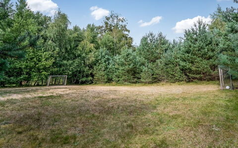 Carlina - from the Sea: Træ, Græs, Land Lot, Eng, Pasture, Woodland, Lærk, Lawn, Evergreen