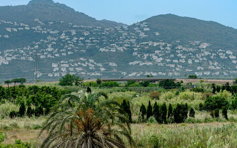 Oliva Nova Cabagua: Bjergrige Landskabsformer, Vegetationen, Bjerg, Bakke, Landskab, Økoregion, Highland, Plantesamfund, Hill Station, Bjergkæde