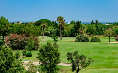 Oliva Nova Cabagua: Træ, Busk, Landskab, Land Lot, Græs-, Have, Lawn, Landscaping, Plantation