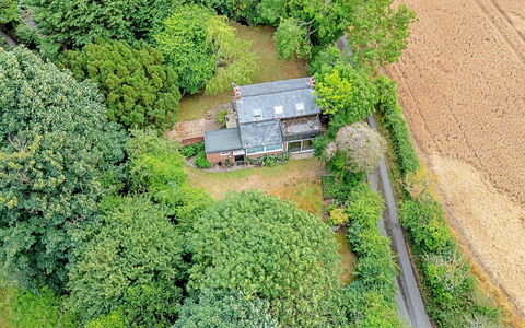 Hollybush Studio: Træ, Vegetationen, Landskab, Hus, Landdistrikt, Busk, Tag, Sommerhus, Hjem, Plantesamfund