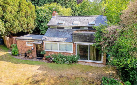 Hollybush Studio: Hus, Tag, Hjem, Busk, Sommerhus, Boligområde, Landdistrikt, Estate, Have, Bunddække