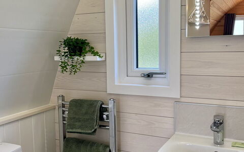 Whinfell Pod: Gulvbelægning, Badeværelse, Sanitærarmatur, Hårdttræ, Lysarmatur, Planke, Toilet, Stueplante, Trægulve