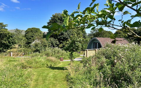 Whinfell Pod: Busk, Have, Land Lot, Sky, Landdistrikt, Bunddække, Sommerhus, Forår, Eng, Lawn