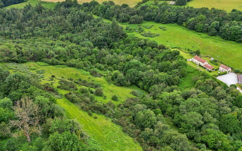 Mole End: Naturligt Miljø, Vegetationen, Naturlige Landskab, Fugleperspektiv, Græs-, Økoregion, Landskab, Highland, Land Lot, Skov