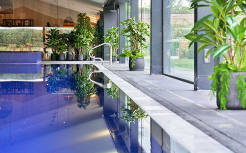 The Glass House at the Lakes by Yoo: Svømmepøl, Blomsterkrukke, Udvej, Stueplante, Skygge, Eco Hotel, Hotel, Design, Gårdsplads, Water Feature