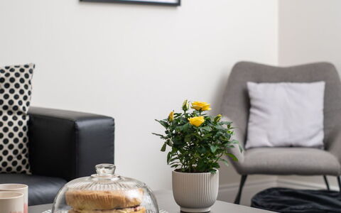 Field View: Møbel, Indretning, Couch, Hjem, Stue, Bord, Pude, Textile, Throw Pillow, Gulvbelægning
