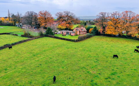 Cricketers' Cottage: Græs, Grøn, Græs-, Landskab, Landdistrikt, Almindeligt, Land Lot, Pasture, Eng, Mark
