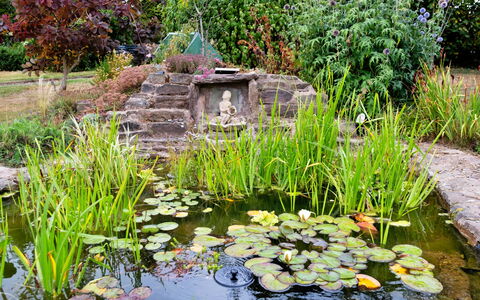 New Lodge Granary: Grøn, Have, Dam, Busk, Bunddække, Water Feature, Fiskedam