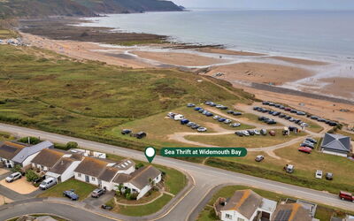Sea Thrift at Widemouth Bay