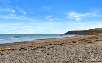 Sea Thrift at Widemouth Bay
