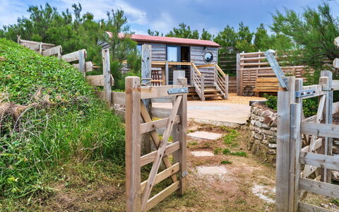 Manderley: Træ, Land Lot, Landdistrikt, Hegn, Sommerhus, Have, Landscaping, Hårdttræ