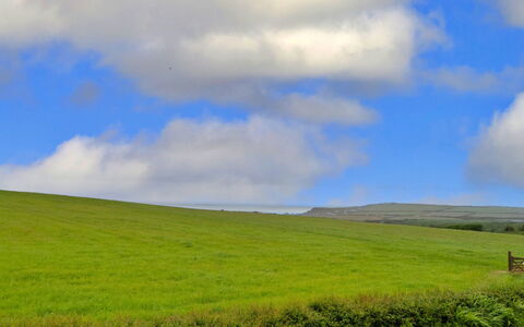 Mucklow, Quinceborough Farm: Blå, Himmel, Grøn, Daytime, Sky, Græs, Græs-, Naturligt Miljø, Naturlige Landskab, Almindeligt